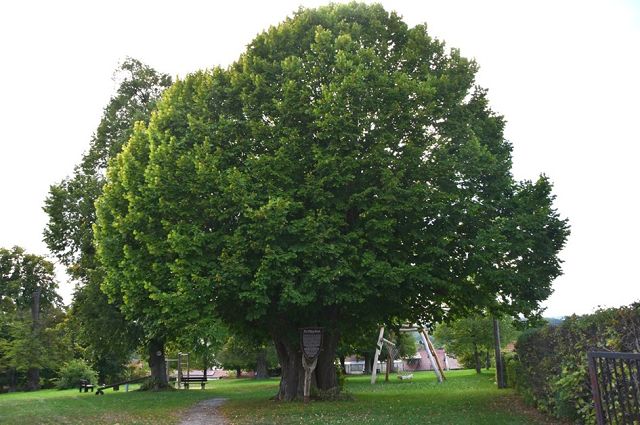 Spielplatz