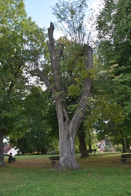 Spielplatz